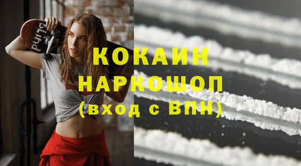 хмурый Алзамай