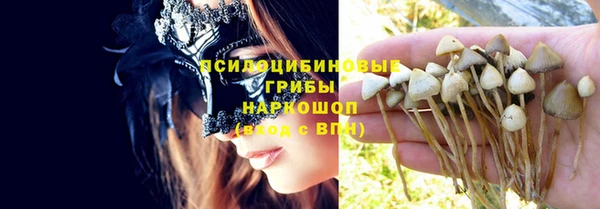 хмурый Алзамай