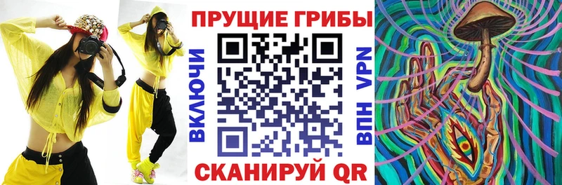 Галлюциногенные грибы мицелий  ссылка на мегу рабочий сайт  Чистополь 